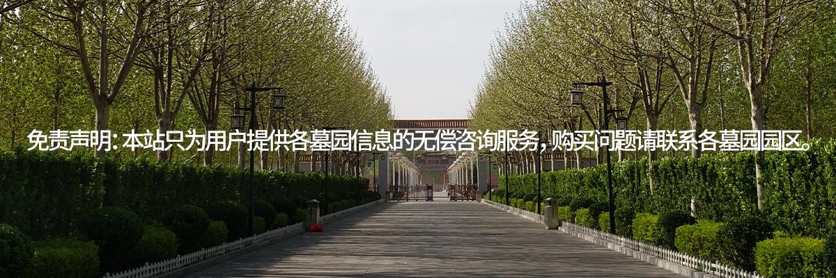 公墓,墓地,墓園
